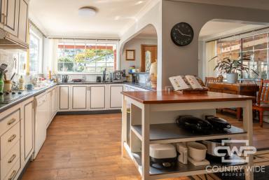 House For Sale - NSW - Emmaville - 2371 - Spacious and Versatile Home with Stunning Outdoor Features.  (Image 2)