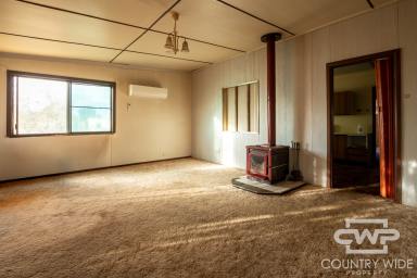 House For Sale - NSW - Torrington - 2371 - Retreat with Space, Sheds & Endless Potential  (Image 2)