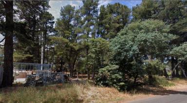 Acreage/Semi-rural For Lease - VIC - Hastings - 3915 - OPEN LAND BLOCK FOR LEASE APPROVED USES ONLY  (Image 2)