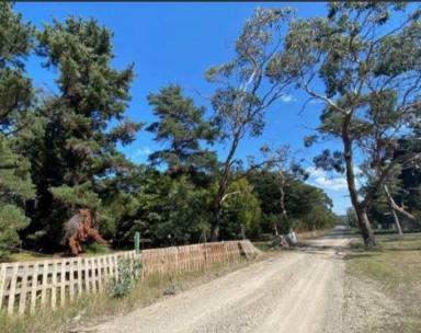 Acreage/Semi-rural For Lease - VIC - Hastings - 3915 - OPEN LAND BLOCK FOR LEASE APPROVED USES ONLY  (Image 2)