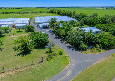 Horticulture For Sale - QLD - Alloway - 4670 - HYDROPONIC ENTERPRISE WITH HOME FOR SALE  (Image 2)