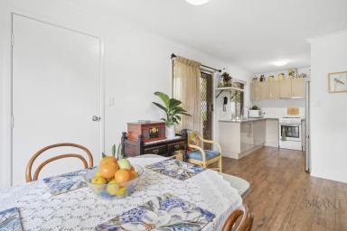 House For Sale - QLD - Maleny - 4552 - Prime Opportunity in the Heart of Maleny!  (Image 2)