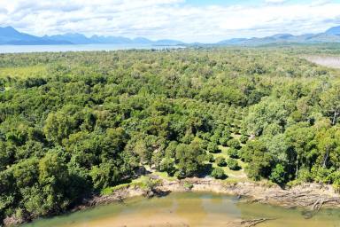 Residential Block For Sale - QLD - Ellerbeck - 4816 - Private Off-Grid Coastal Lifestyle Getaway with Tiny Homes, Creek Access & Mango Orchard  (Image 2)