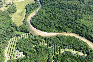 Residential Block For Sale - QLD - Ellerbeck - 4816 - Private Off-Grid Coastal Lifestyle Getaway with Tiny Homes, Creek Access & Mango Orchard  (Image 2)