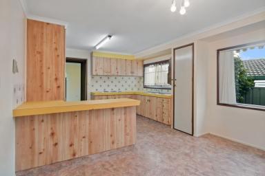 House For Lease - QLD - Centenary Heights - 4350 - LARGE FAMILY HOME BOASTING CHARACTER AND CHARM! (Image 2)