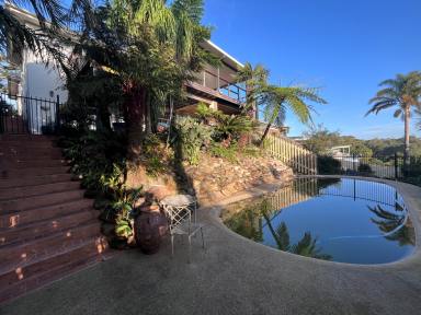 House For Lease - NSW - Kiama Downs - 2533 - Your Private Family Retreat with Breathtaking Views  (Image 2)