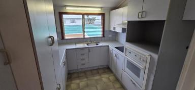 House For Lease - QLD - Ingham - 4850 - AVAILABLE NOW! HIGHSET HOME ON 1,622 SQUARE METRE DOUBLE BLOCK!  (Image 2)