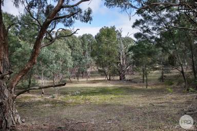 Residential Block For Sale - VIC - Linton - 3360 - Wonderful 9 Acres Approx. Ready To Build Your Dream Home (STCA)  (Image 2)