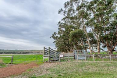 Livestock For Sale - VIC - Henty - 3312 - “River View” – Quality Grazing Along the Wannon River  (Image 2)