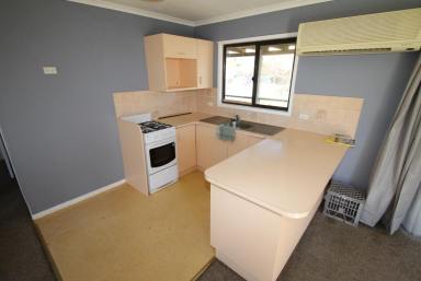 House For Lease - NSW - Quirindi - 2343 - Neat and Tidy 2 bedroom house  (Image 2)