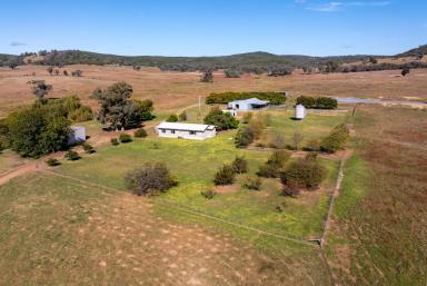 Mixed Farming For Sale - NSW - Koorawatha - 2807 - A Productive Livestock Breeding & Grazing Opportunity on the South West Slopes  (Image 2)