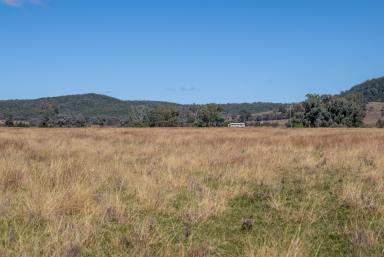 Mixed Farming For Sale - NSW - Koorawatha - 2807 - A Productive Livestock Breeding & Grazing Opportunity on the South West Slopes  (Image 2)