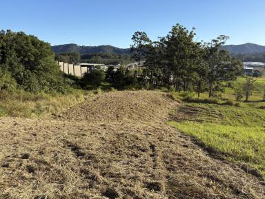 Residential Block For Sale - NSW - Coffs Harbour - 2450 - Land for sale , Coffs Harbour 1105 m2  (Image 2)