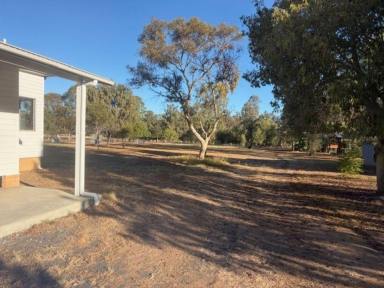 House For Lease - NSW - Pallamallawa - 2399 - Renovated Cottage for Rent in the Heart of Pallamallawa  (Image 2)