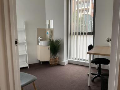 Medical/Consulting For Lease - NSW - Hurstville - 2220 - Build Your Practice in Hurstville Ready-to-Use Consulting Room  (Image 2)