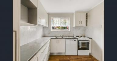 Unit For Lease - QLD - South Toowoomba - 4350 - Well Presented Lowset Unit in Perfectly Positioned Location  (Image 2)
