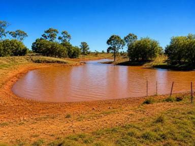 Mixed Farming For Sale - NSW - Nyngan - 2825 - 759 Acre Grazing & Mixed Farming Property with Strong Income Potential Nyngan District  (Image 2)