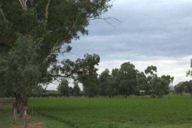 Mixed Farming For Sale - VIC - Bamawm - 3561 - "The Meadows" Dairy Portfolio.  (Image 2)