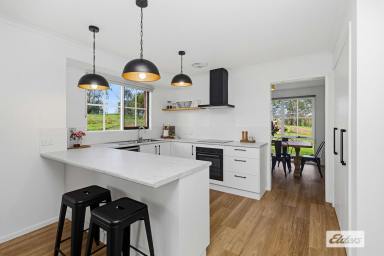 House For Sale - VIC - Axedale - 3551 - Feature Packed - Renovated Home, Studio, Outstanding Shedding & Town Water  (Image 2)
