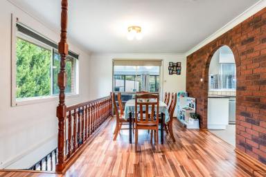House For Sale - NSW - Kyogle - 2474 - Spacious Family Home  (Image 2)