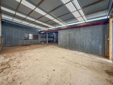 Industrial/Warehouse For Lease - VIC - Portland - 3305 - Versatile Storage or Workshop Shed  (Image 2)