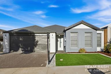 House For Sale - WA - Alkimos - 6038 - Spacious, Stylish & Ready to Move In  (Image 2)