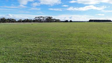 Lifestyle For Sale - VIC - Larpent - 3249 - VERSATILE COLAC DISTRICT ACREAGE  (Image 2)
