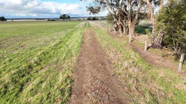 Lifestyle For Sale - VIC - Larpent - 3249 - VERSATILE COLAC DISTRICT ACREAGE  (Image 2)