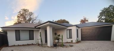 House Sold - WA - Hazelmere - 6055 - Peaceful Rear Block Retreat in a Leafy, Family Friendly Suburb (Image 2)