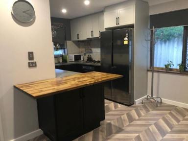 House For Lease - WA - Bentley - 6102 - Recently Renovated 4x2 Home Ideal for Families, Students or Professionals (Image 2)