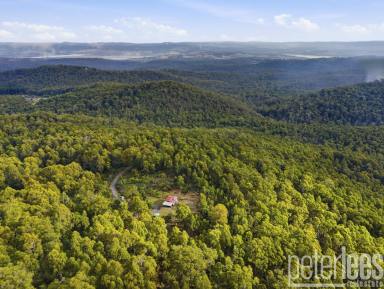 House For Sale - TAS - Turners Marsh - 7267 - Off-Grid Freedom on 38 Private Acres  (Image 2)