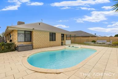 House For Sale - WA - Baldivis - 6171 - This move in ready, family-friendly home will have you in awe!!!  (Image 2)