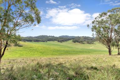 Mixed Farming For Sale - NSW - Dungowan - 2340 - Locality, Versatility & Well Improved  (Image 2)