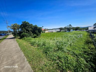 Residential Block For Sale - QLD - Cooktown - 4895 - Rare Business-Zoned Double Block with High Visibility  (Image 2)