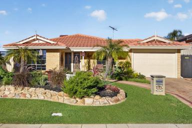 House For Sale - WA - Alexander Heights - 6064 - Family Entertainer with Pool in One of Alexander Heights’ Best Pockets!  (Image 2)