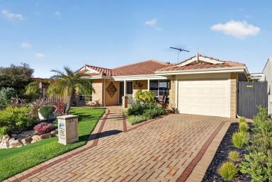 House For Sale - WA - Alexander Heights - 6064 - Family Entertainer with Pool in One of Alexander Heights’ Best Pockets!  (Image 2)