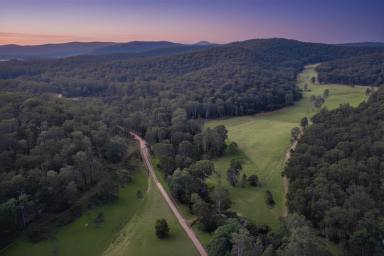 Acreage/Semi-rural For Sale - NSW - Putty - 2330 - Premier Putty Estate Must Be Sold!  (Image 2)