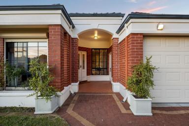 House For Sale - WA - Alexander Heights - 6064 - Parkside Luxury with 260sqm of Family Living!  (Image 2)