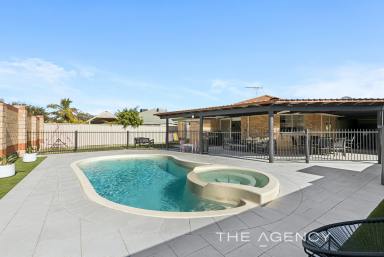 House For Sale - WA - Currambine - 6028 - THE FAMILY ENTERTAINER - MOVE IN READY!!  (Image 2)