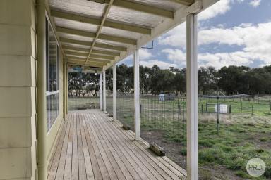 House For Sale - VIC - Snake Valley - 3351 - Rural Living Property On Approximately 10 Acres!  (Image 2)