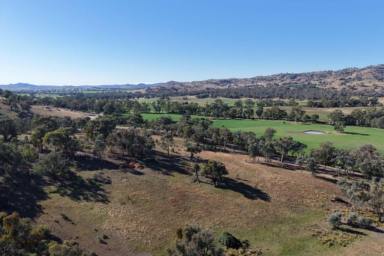 Other (Rural) For Sale - NSW - Hovells Creek - 2794 - 9.3 ACRE LIFESTYLE GET-AWAY. FULLY FENCED & SEALED ROAD FRONTAGE! (Image 2)