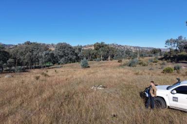 Other (Rural) For Sale - NSW - Hovells Creek - 2794 - 9.3 ACRE LIFESTYLE GET-AWAY. FULLY FENCED & SEALED ROAD FRONTAGE! (Image 2)