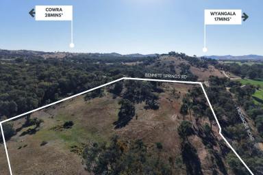 Other (Rural) For Sale - NSW - Hovells Creek - 2794 - 9.3 ACRE LIFESTYLE GET-AWAY. FULLY FENCED & SEALED ROAD FRONTAGE!  (Image 2)