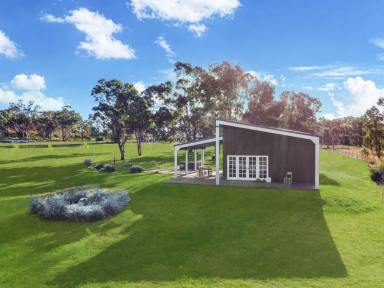 Residential Block For Sale - NSW - Young - 2594 - Paradise Without Breaking the Budget  (Image 2)