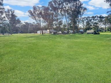Residential Block For Sale - NSW - Young - 2594 - Two Blocks, Two Dwelling Entitlements  (Image 2)