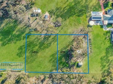 Residential Block For Sale - NSW - Young - 2594 - Two Blocks, Two Dwelling Entitlements  (Image 2)