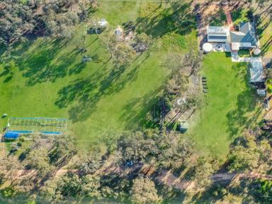 Residential Block For Sale - NSW - Young - 2594 - Two Blocks, Two Dwelling Entitlements  (Image 2)