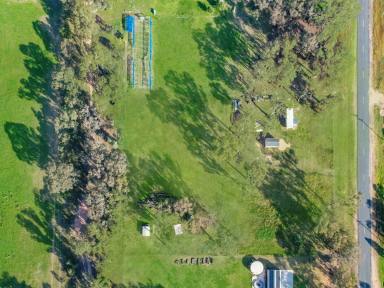 Residential Block For Sale - NSW - Young - 2594 - Two Blocks, Two Dwelling Entitlements  (Image 2)