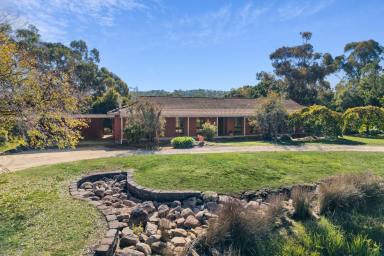 House For Sale - VIC - Ravenswood - 3453 - Peaceful 3-Acre Lifestyle Retreat with Sweeping Big Hill Views  (Image 2)