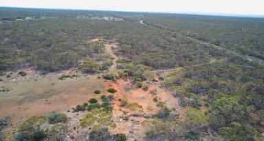 Residential Block For Sale - SA - Sedan - 5353 - Scale and unlimited potential: 1 quality allotments in an expansive location. Combined 166 Ha (approx.) of peace and nature.  (Image 2)